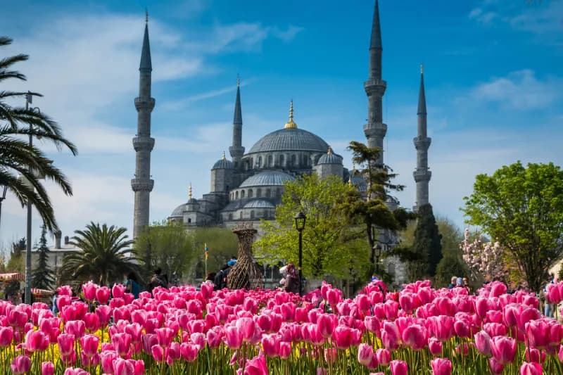 Moschee di Istanbul | Moschee a Istanbul | Viaggio Turchia