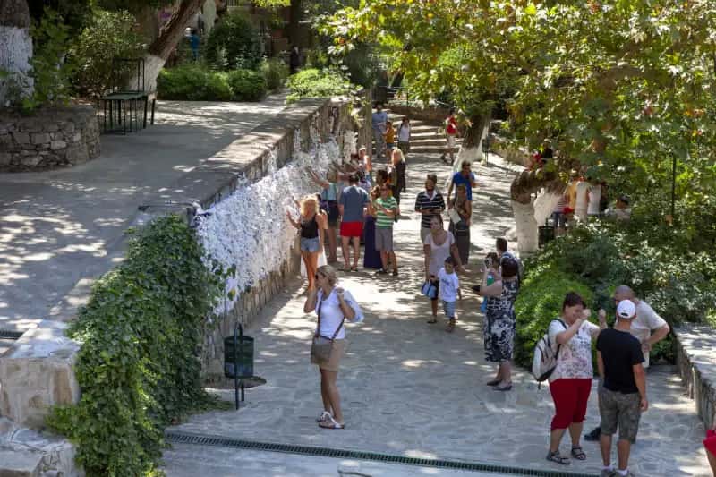 tourImage